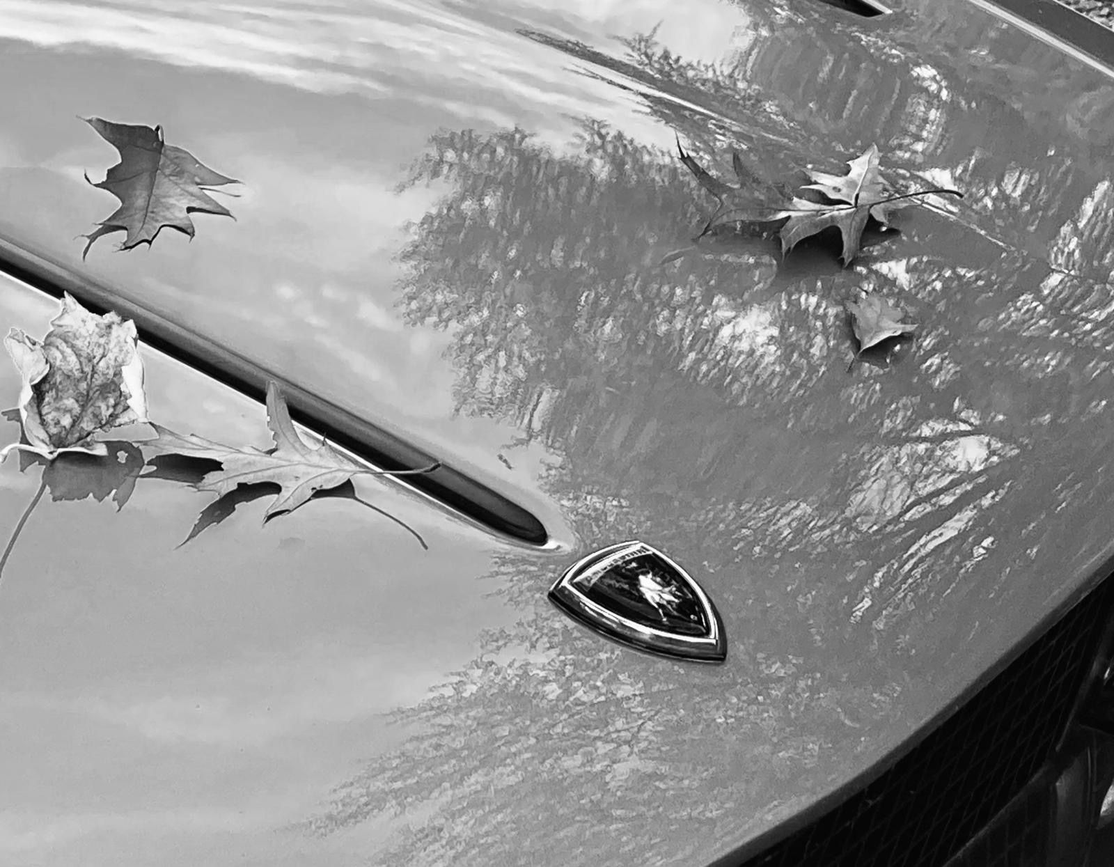 Lamborghini Espada in de herfst Genootschap der Taxateurs